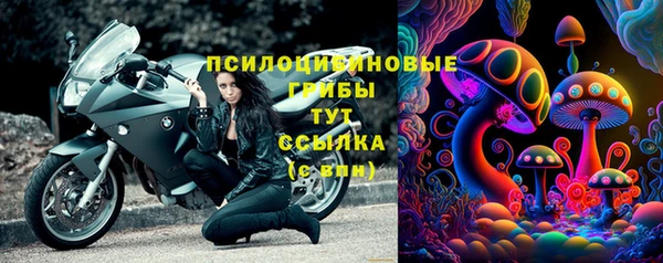 дживик Алексин